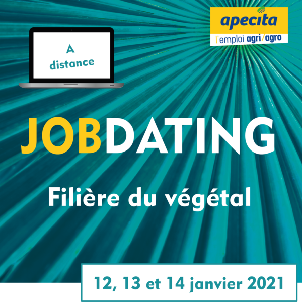 Offres D Emploi Apecita