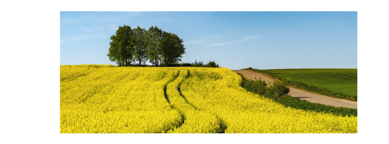 Les chiffres clés de l'agriculture en Centre Val de Loire